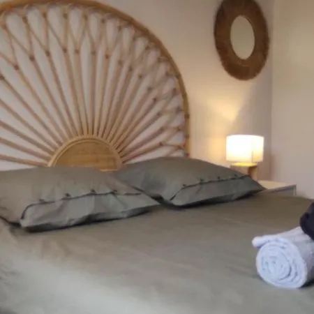 Chez Camille Spacieux 75m2 Climatisation Wifi Parking Terrasse Et Cour Privative A 50 M De La