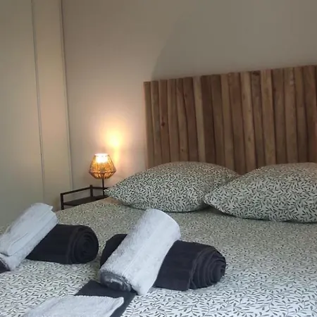 Chez Camille Spacieux 75m2 Climatisation Wifi Parking Terrasse Et Cour Privative A 50 M De La *