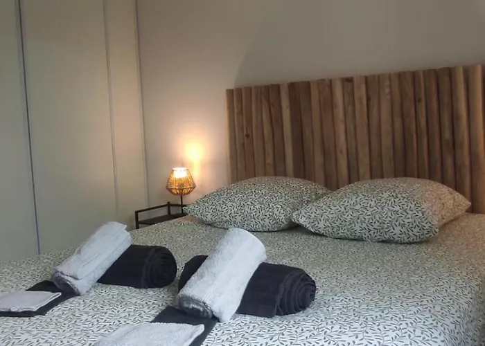 Chez Camille Spacieux 75m2 Climatisation Wifi Parking Terrasse Et Cour Privative A 50 M De La *