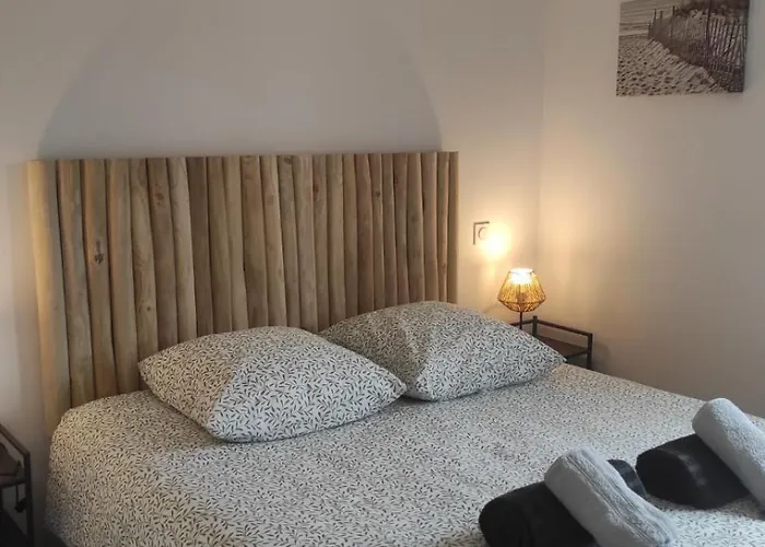 Chez Camille Spacieux 75m2 Climatisation Wifi Parking Terrasse Et Cour Privative A 50 M De La *
